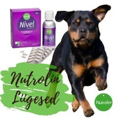 Nutrolin Nive Joint Duo liigestele 150ml+60tbl hind ja info | Toidulisandid ja parasiitide vastased tooted | kaup24.ee