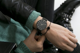 Часы Emily Westwood EAV-3318 цена и информация | Женские часы | kaup24.ee