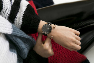Часы Emily Westwood EAG-B021R цена и информация | Женские часы | kaup24.ee