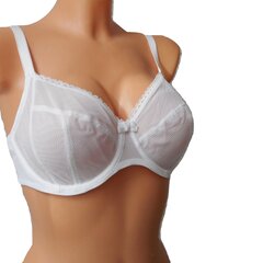 Chantelle Parisian Plunge valge цена и информация | Бюстгальтеры | kaup24.ee