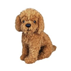 Realistlik Palus mängukoer Labradoodle Dog Plush topitud loom lastele цена и информация | Мягкие игрушки | kaup24.ee