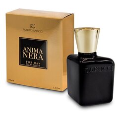 Parfüümvesi Roberto Capucci Anima Nera EDP meestele 100 ml hind ja info | Meeste parfüümid | kaup24.ee