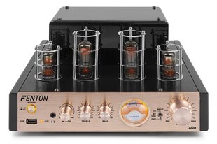 FENTON TA60 STEREO HÜBRIIDLAMP VÕIMENDI hind ja info | Koduaudio ja 