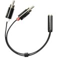 Deltaco AUD-204, 3.5mm, RCA, 0.1m