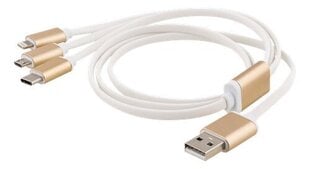 Epzi USB-MULTI10, USB C, Lightining, Micro USB, 1m hind ja info | Mobiiltelefonide kaablid | kaup24.ee