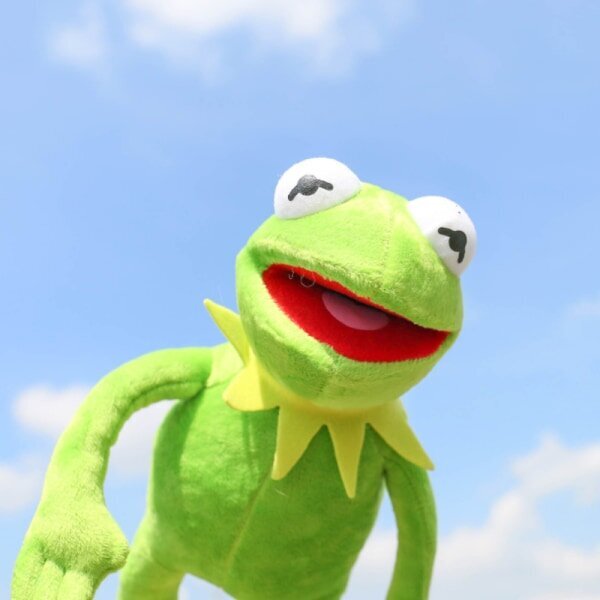 40cm Kermit The Frog Sesame Street Muppet ETT ARTIKEL Full Body Do green one size hind ja info | TV antennid | kaup24.ee