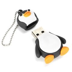 USB-mälupulk Valikuline salvestusruum Armas kujuga USB-mälupulk andmete salvestamiseks 2 GB hind ja info | Mälupulgad | kaup24.ee