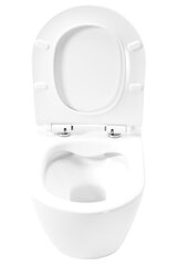 Komplekt: Carlo Flat Mini Rimless WC-kauss + Carlo Mini Bidet цена и информация | Унитазы | kaup24.ee