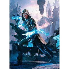 Puzzle Magic The Gathering 1000 tk hind ja info | Pusled | kaup24.ee