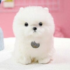 Pomeranian Puppy Doll Plush Mänguasi – Armas Valge Koera Simulatsiooninukk – 23 Cm Nukupadi – hind ja info | Pehmed mänguasjad | kaup24.ee