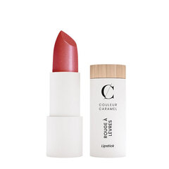 Помада Couleur Caramel, цвет Rouge, 3,5 г цена и информация | Помады, бальзамы, блеск для губ | kaup24.ee