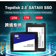 4T 2,5-Tolline Sata3.0 Sisseehitatud Ssd Kiire 2Tb 1Tb Täiendus Ja Laiendus_1TbScale Out hind ja info | Sisemised kõvakettad (HDD, SSD, Hybrid) | kaup24.ee