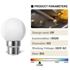 Pakis 10 B22 G45 LED-gloobust, soe valge 3500K, 3W G45, 180lm, matt polükarbonaadist korpus, mitte hämardatav [energiaklass G] hind ja info | Tööriistakastid, tööriistahoidjad | kaup24.ee