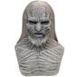 Game Of Thrones 8 The White Walkers Cosplay Täispea Parukate Mask Halloween Carniv hind ja info | Karnevali kostüümid | kaup24.ee