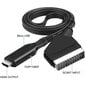 Scart-HDMI-muundur, kõik-ühes SCART-HDMI-adapter, 1080P hind ja info | TV vastuvõtjad, FM, videokaardid | kaup24.ee