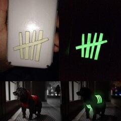 2,5 cm x 10 m luminofoorriba,Helendav kleeplindi kleebis, pimedas helendav teip, fluorestseeruv öökleebis, eemaldatav, veekindel, fotoluminestseeruv turvastaadioni teip цена и информация | Фонари и прожекторы | kaup24.ee