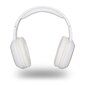 NGS Artica Pride Bluetooth White цена и информация | Kõrvaklapid | kaup24.ee
