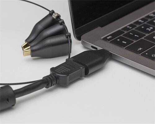 Deltaco USBC-AR1, USB-C, DisplayPort, VGA, HDMI цена и информация | Kaablid ja juhtmed | kaup24.ee