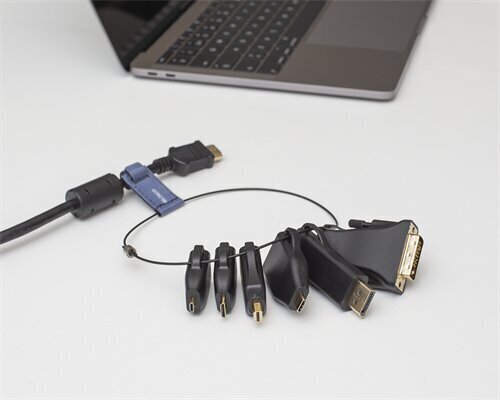 Deltaco HDMI-AR2, HDMI, DVI, USB-C, DisplayPort, Mini DisplayPort цена и информация | Kaablid ja juhtmed | kaup24.ee