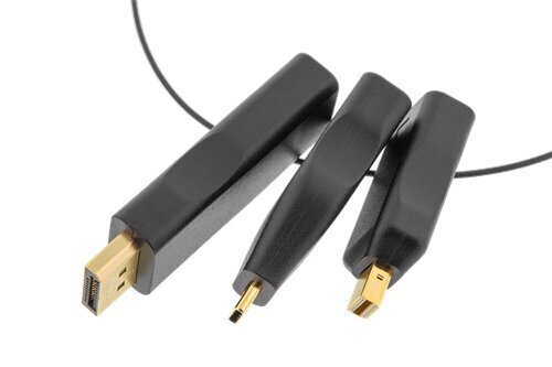 Deltaco HDMI-AR1, HDMI, USB-C, DisplayPort, Mini DisplayPort цена и информация | Kaablid ja juhtmed | kaup24.ee