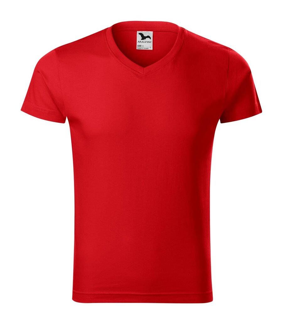 Slim Fit V-neck T-särk meestele цена и информация | Meeste T-särgid | kaup24.ee