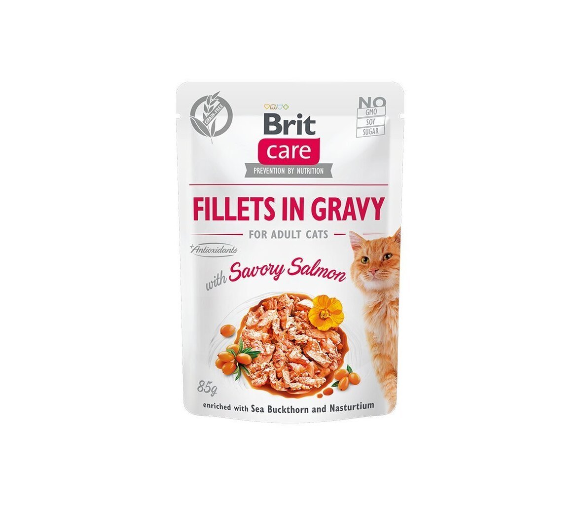 Brit Care Fillets in Gravy Savory Salmon märgtoit kassidele 85g hind ja info | Konservid kassidele | kaup24.ee