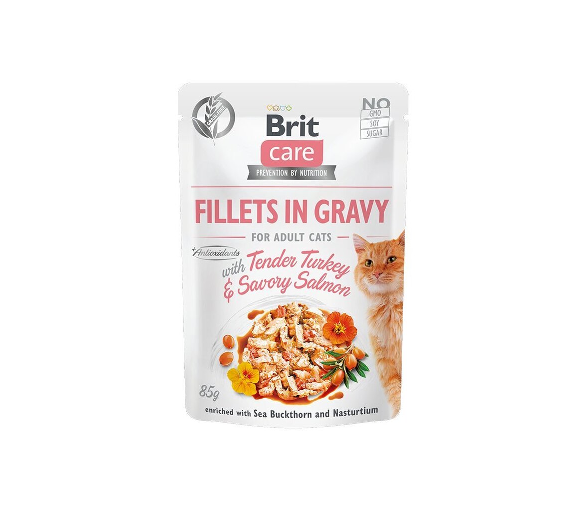 Brit Care Fillets in Gravy Tender Turkey & Savory Salmon märgtoit kassidele 85g hind ja info | Konservid kassidele | kaup24.ee