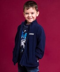 Флисовая кофта HUPPA цена и информация | Куртки для мальчиков | kaup24.ee