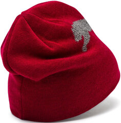 Шапка Puma Ess Logo Beanie Red цена и информация | Женские шапки | kaup24.ee