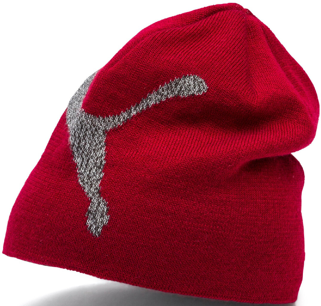 Puma Müts Ess Logo Beanie Red цена и информация | Naiste mütsid ja peapaelad | kaup24.ee