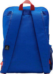 Рюкзак Reebok Kids Core 22L Gr Cobalt Blue цена и информация | Школьные рюкзаки, спортивные сумки | kaup24.ee