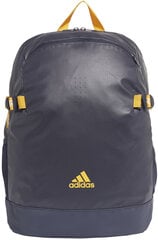 Рюкзак Adidas Ya Backpack Blue цена и информация | Рюкзаки и сумки | kaup24.ee