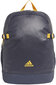 Adidas Seljakott Ya Backpack Blue hind ja info | Spordikotid, seljakotid | kaup24.ee