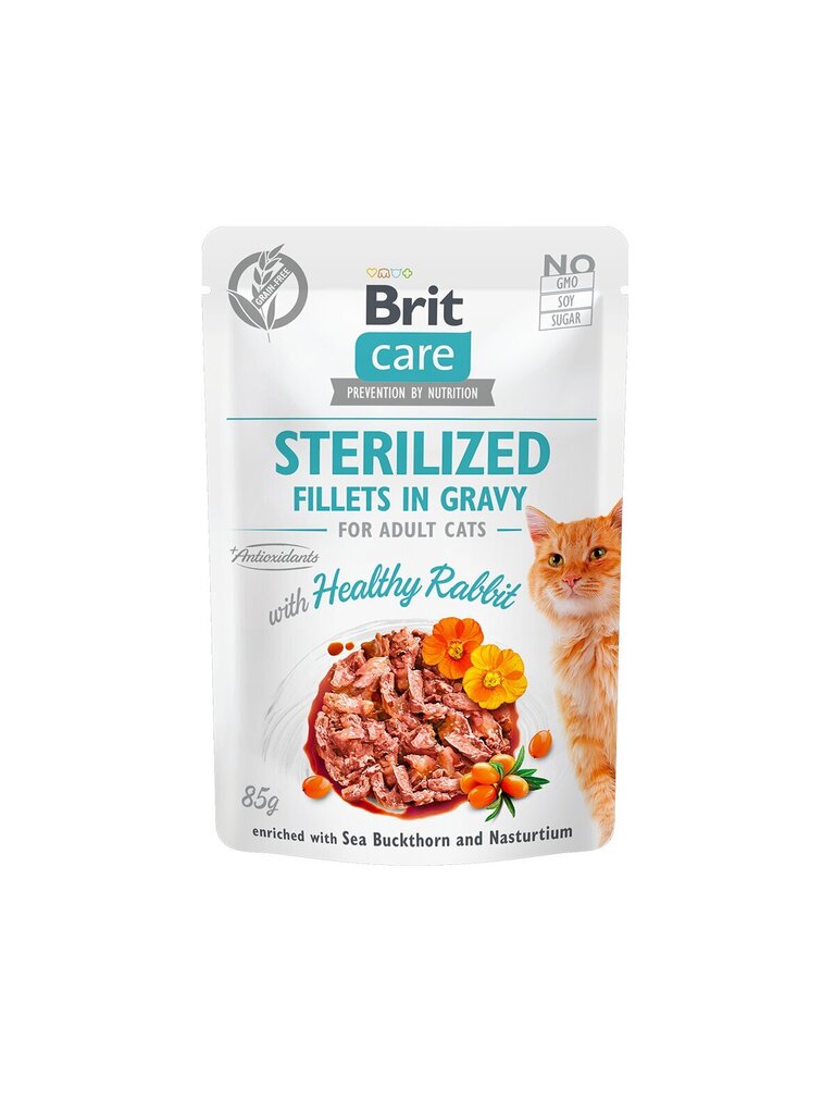 Brit Care Fillets in Gravy Healty Rabbit märgtoit steriliseeritud kassidele 85g цена и информация | Konservid kassidele | kaup24.ee