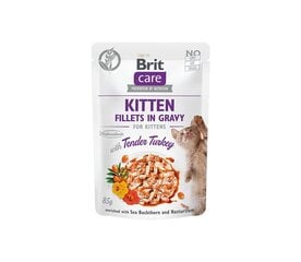 Brit Care Fillets in Gravy Turkey Kitten märgtoit kassipoegadele 85g цена и информация | Кошачьи консервы | kaup24.ee