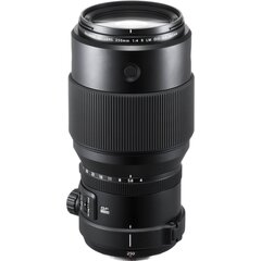 FUJIFILM FUJINON GF 250mm F4 R LM OIS WR цена и информация | Линзы | kaup24.ee