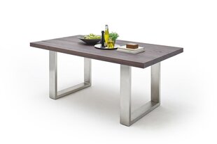 Обеденный стол MC Akcent Castello, 200x100 см, темно-коричневый/серебристый цена и информация | Кухонные и обеденные столы | kaup24.ee