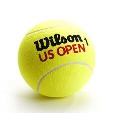 Уличные теннисные мячи Wilson US Open цена и информация | Товары для большого тенниса | kaup24.ee