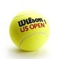 Tennisepallid Wilson US Open hind ja info | Välitennise tooted | kaup24.ee