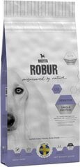 Bozita Robur Sensitive Single Protein Lamb & Rice koeratoit 12,5kg цена и информация | Сухой корм для собак | kaup24.ee