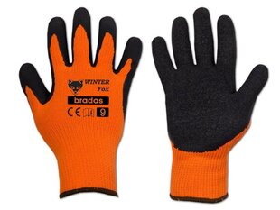 Перчатки защитные WINTER FOX латекс Bradas (размер 10) цена и информация | Рабочие перчатки | kaup24.ee