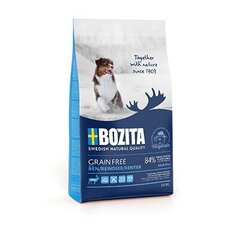 Bozita Grain Free Adult Plus Reindeer koeratoit 12.5kg hind ja info | Kuivtoit koertele | kaup24.ee