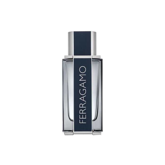 Tualettvesi Salvatore Ferragamo Ferragamo EDT meestele, 50 ml цена и информация | Meeste parfüümid | kaup24.ee