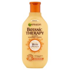 Шампунь для поврежденных волос Garnier Botanic Therapy Honey & Propolis, 400 мл цена и информация | Шампуни | kaup24.ee