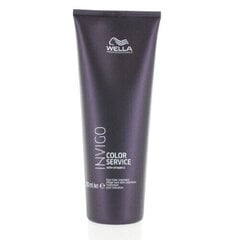 Juuksepalsam Wella Professionals Invigo Color Service 250 ml hind ja info | Juuksepalsamid | kaup24.ee