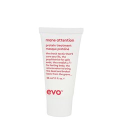 Proteiinidega mask Evo Mane Attention, 30 ml hind ja info | Maskid, õlid, seerumid | kaup24.ee