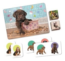 Arendavate mängude komplekt Clementoni Edukit 4in1 - Puppies, 18071 цена и информация | Настольные игры, головоломки | kaup24.ee