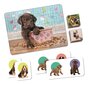 Arendavate mängude komplekt Clementoni Edukit 4in1 - Puppies, 18071 цена и информация | Lauamängud ja mõistatused | kaup24.ee