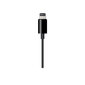 Apple Lightning to 3.5mm Audio Cable - MR2C2ZM/A цена и информация | Mobiiltelefonide kaablid | kaup24.ee