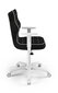 Kontoritool Entelo Good Chair Duo VS01 6, valge/must hind ja info | Kontoritoolid | kaup24.ee